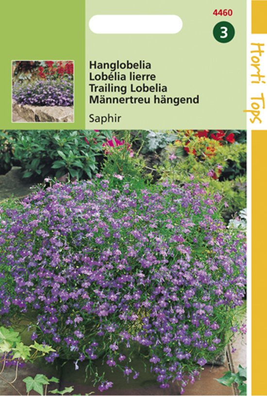 Hanglobelia Saphir (Lobelia pendula) 7500 zaden